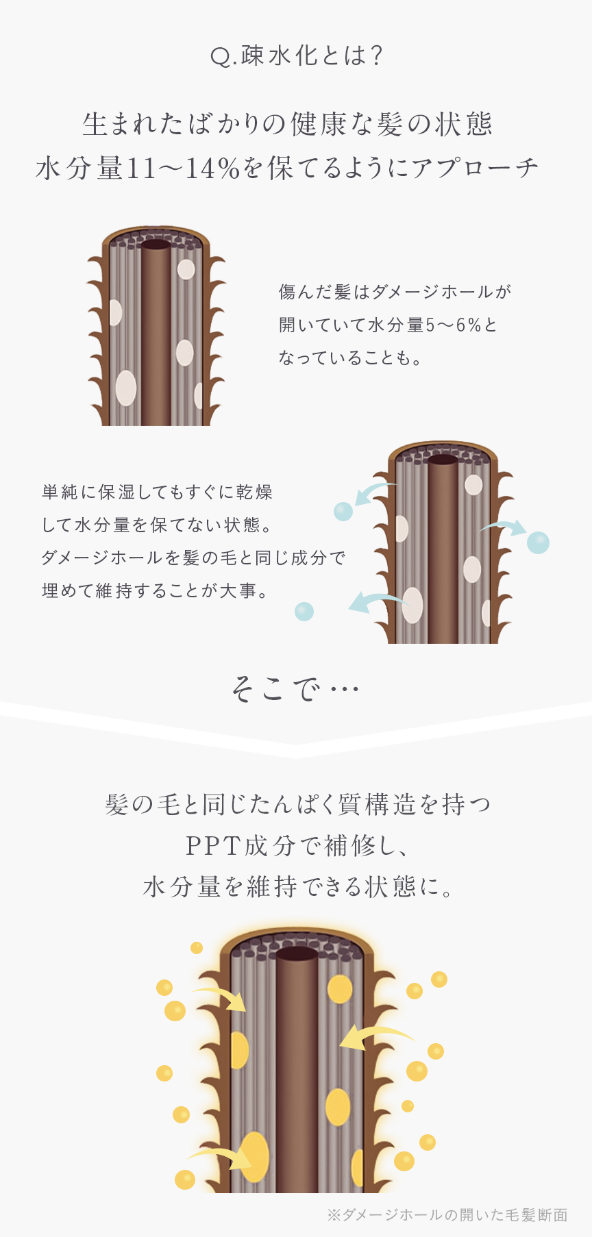疎水化とは?